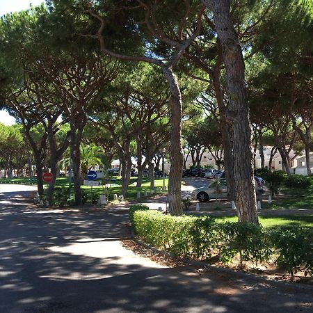 Estudio Tranquilo Praia Da Falesia Албуфейра Екстериор снимка